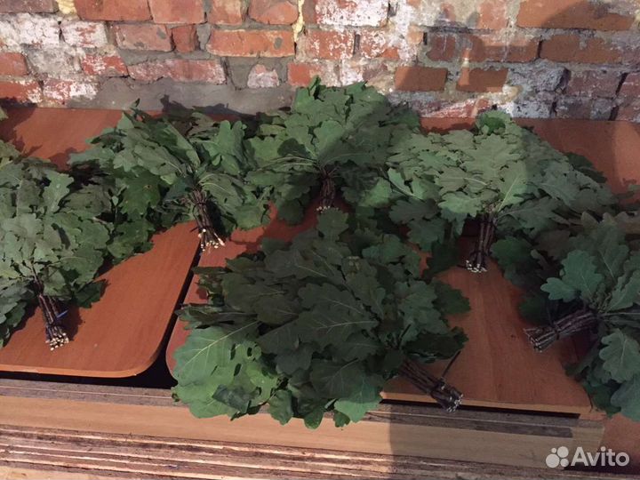 Дубовый веник