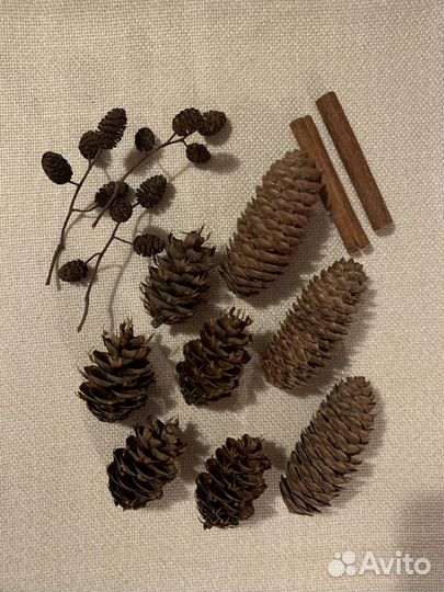 Набор шишек, желудей для декора и творчества