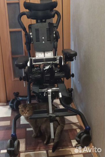 Детская инвалидная коляска R82 X-Panda