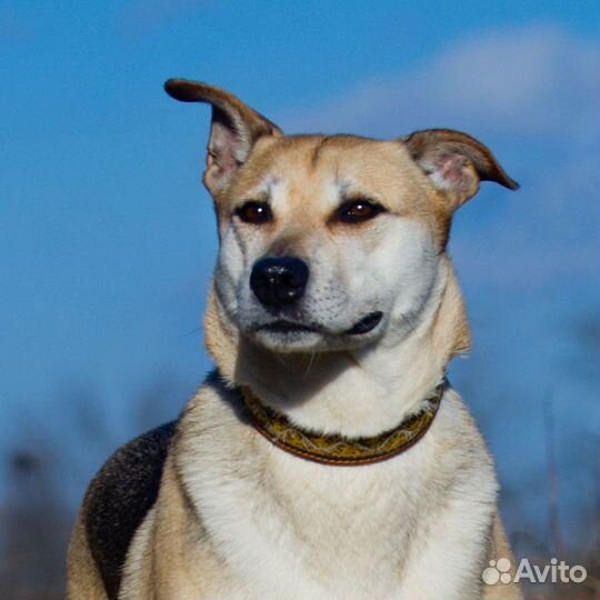 Тихая, робкая Марта заслужила счастье