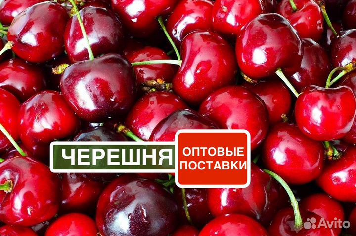 Черешня оптом