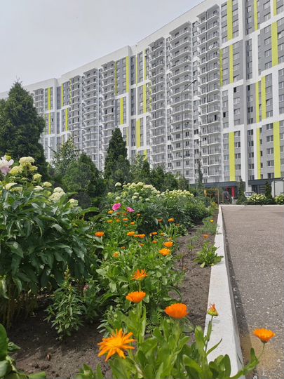 3-к. квартира, 76 м², 13/18 эт.