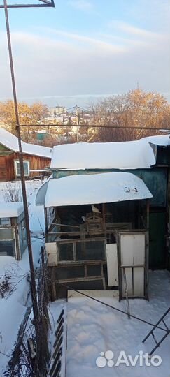 Продажа голубей