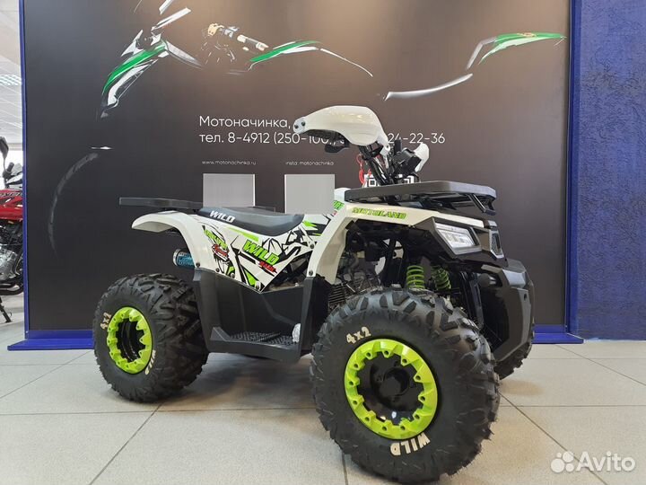 Квадроцикл Motoland 125 Wild