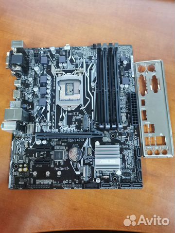 Материнская плата asus prime B250M-A купить в Санкт-Петербурге ...