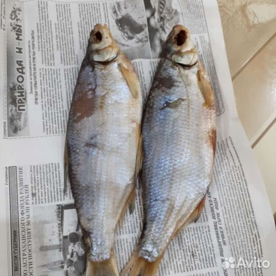 Для рыбалки