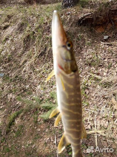 Мормышки одноухие свинцовые 0.2 - 0.7 гр