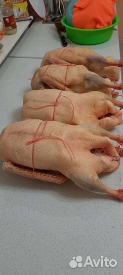 Гусь халяль