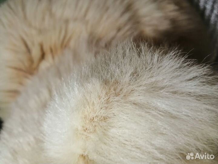 Статуэтка Медведя, фигурка животного