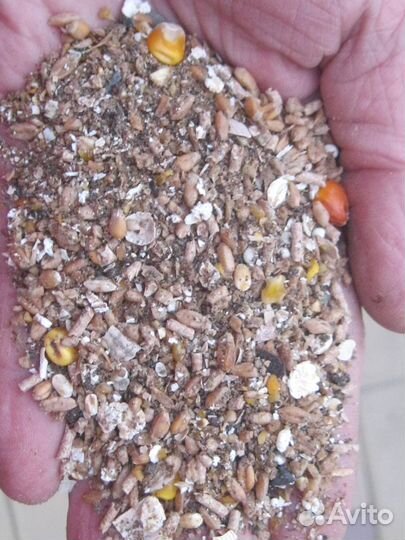 Корма, дрожжи кормовые