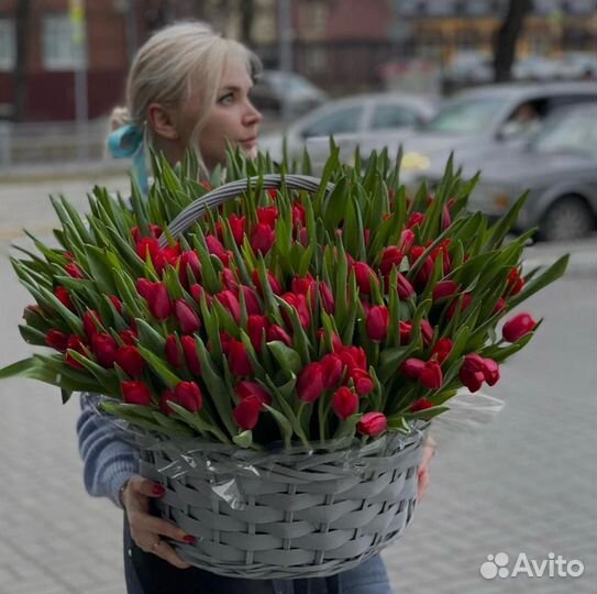 Тюльпаны