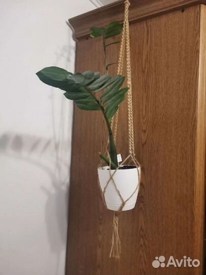 Кашпо для цветов подвесное