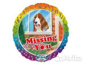 Шар музыкальный Скучаю по тебе