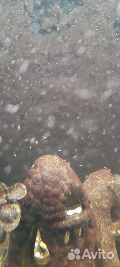 Аквариум 135 л