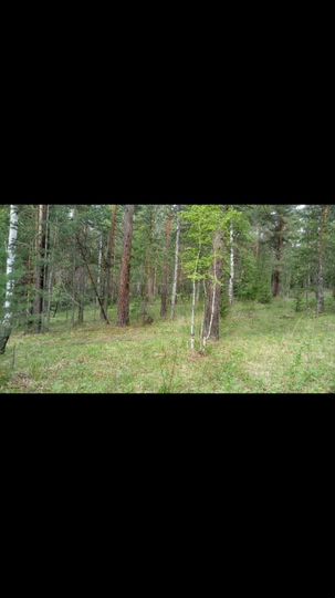 Участок 10 сот. (СНТ, ДНП)