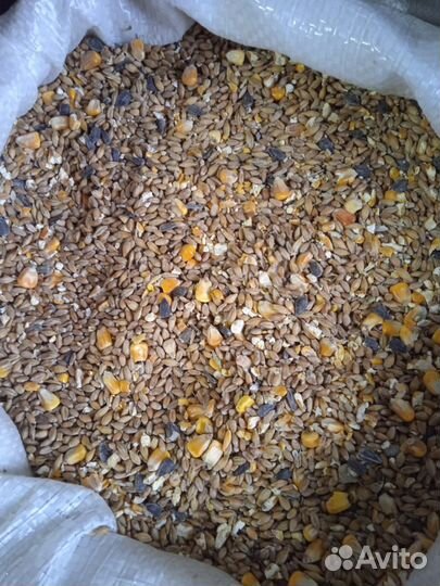 Корма для сельскохозяйственных животных и птиц