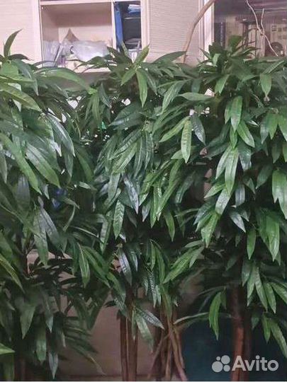 Искусственные деревья