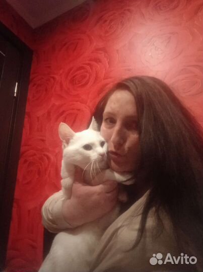 Ищу подработку