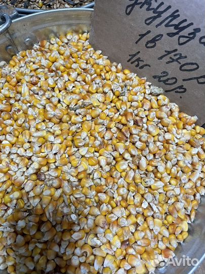 Корма для сельскохозяйственных животных, корма