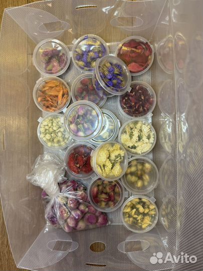 Высушенные цветы для творчества (сухоцветы)