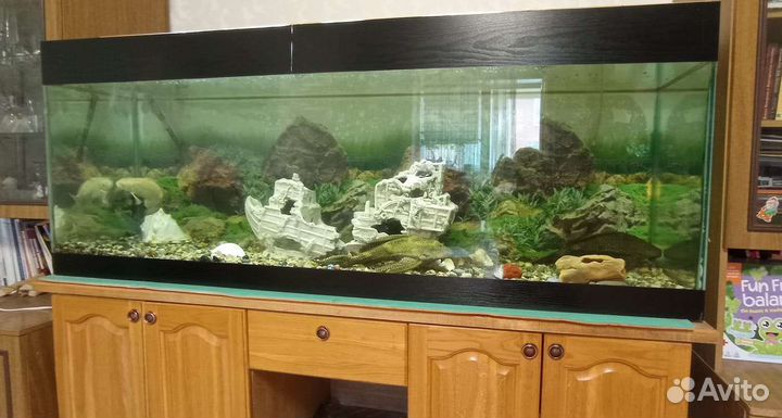 Аквариум на 500 литров