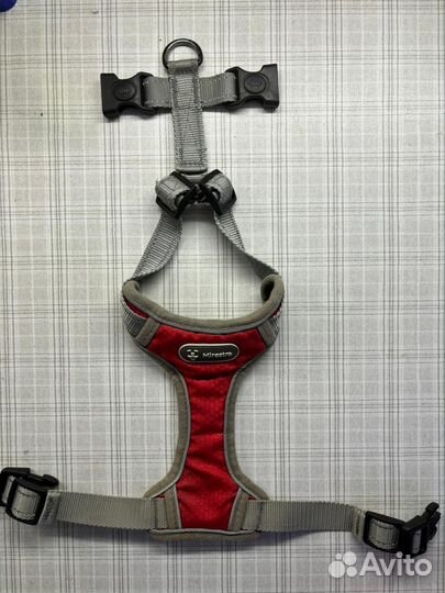 Амуниция для собак