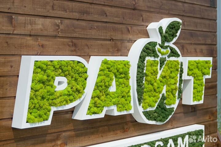 Название компании из мха 60 см