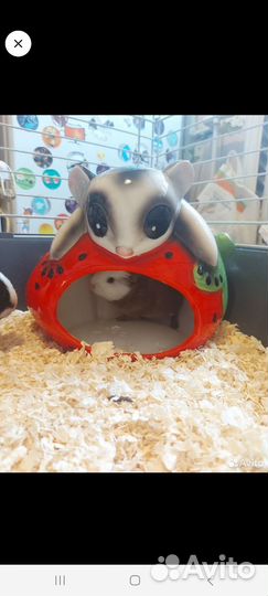 Керамический домик для грызунов