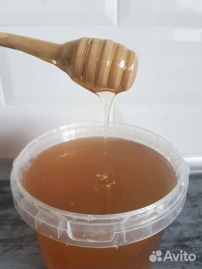 Мёд майский и цветочный дегустация