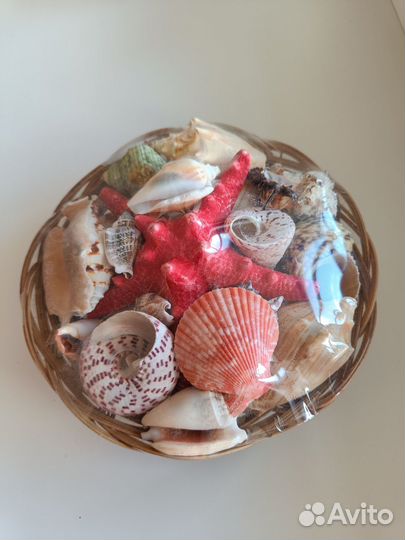 Набор морских ракушек в корзине