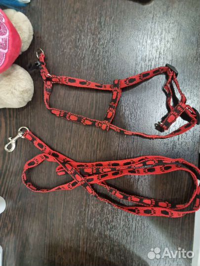 Шлейка и ошейник для собаки маленьких пород шпиц