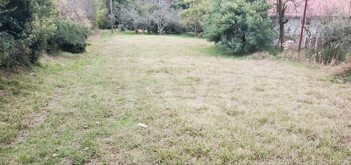 Участок 25 сот. (ИЖС)