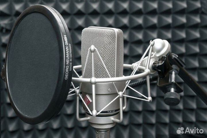 Студийный микрофон Neumann TLM 103