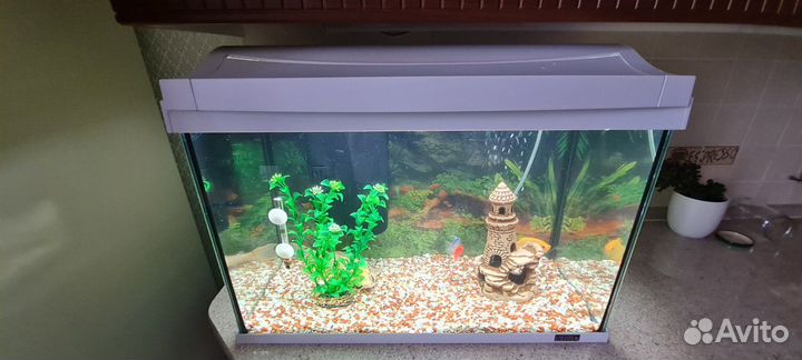 Аквариум Tetra на 60 л. с рыбками