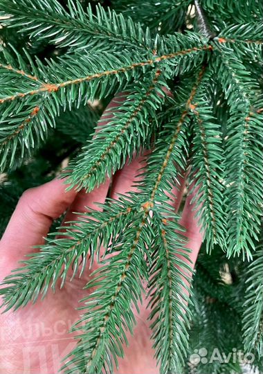 Eлкa искуccтвеннaя