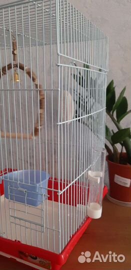 Клетка для волнистого попугая