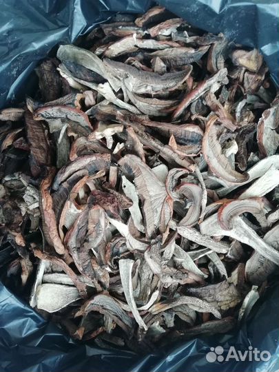 Сухие грибы красноголовик