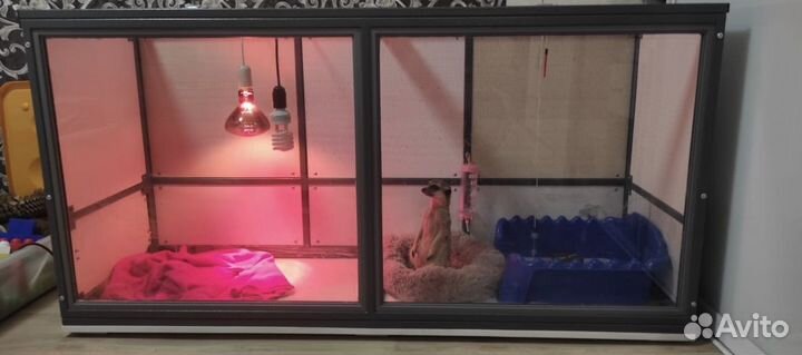 Клетка для суриката