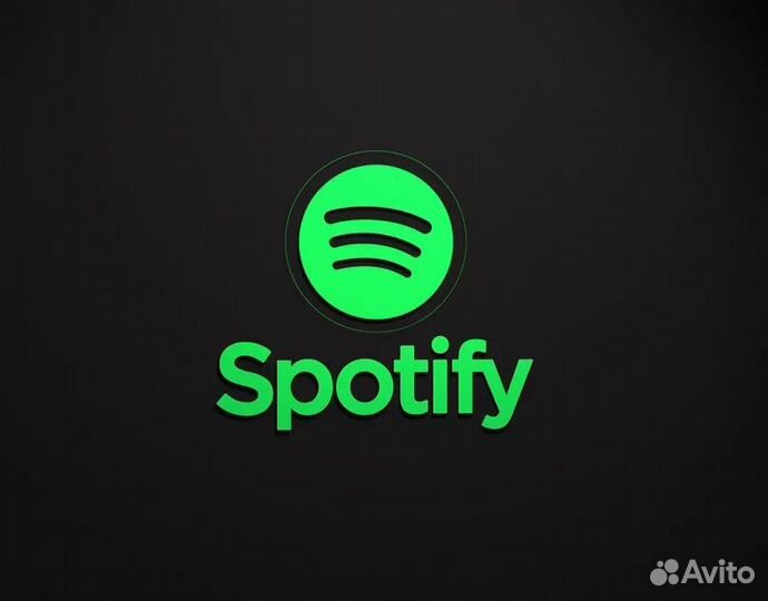 Spotify premium 12 months