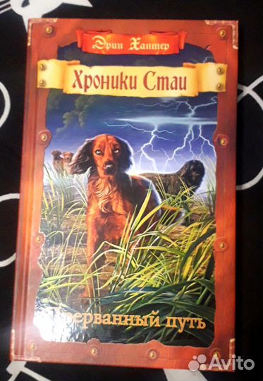 Хроники стаи