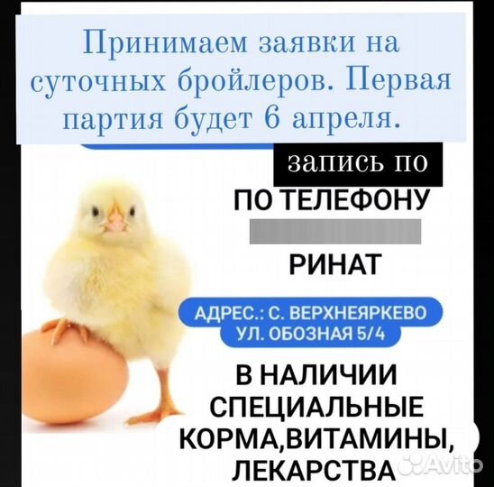 Домашняя птица
