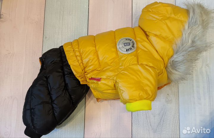 Комбинезоны для мелких пород собак