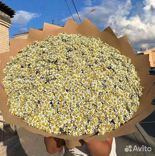 Букеты. Доставка ромашек