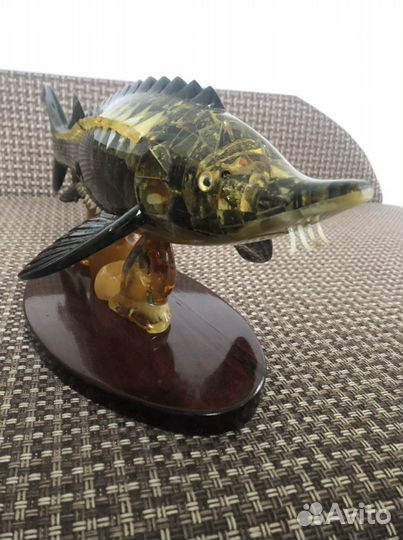 Янтарный Осётр