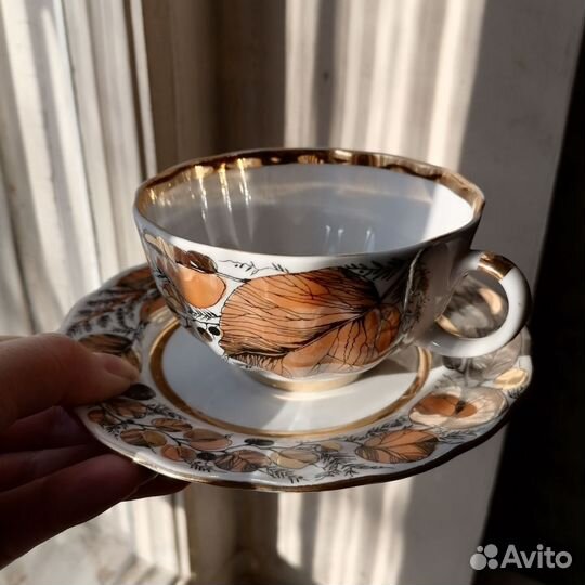 Сервиз лфз золотая осень