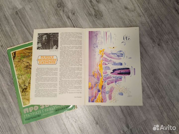 Книги с иллюстрациями детские