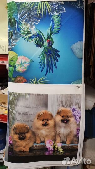 Ткань мебельная велюр