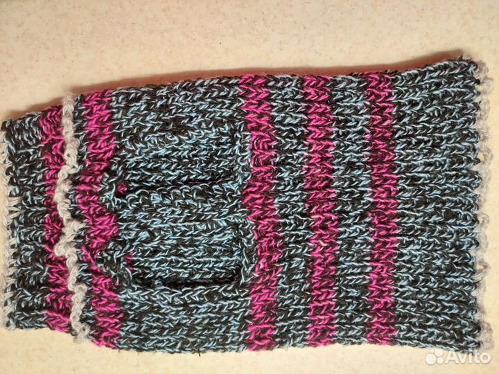 Одежда для собак