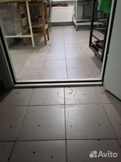 Дезинфекция / Уничтожение насекомых, тараканов