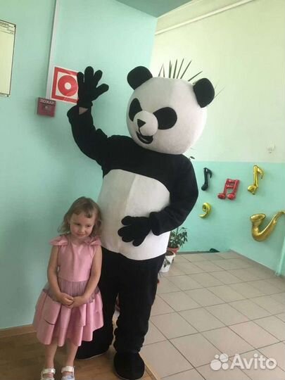 Мишка тедди, кот и панда